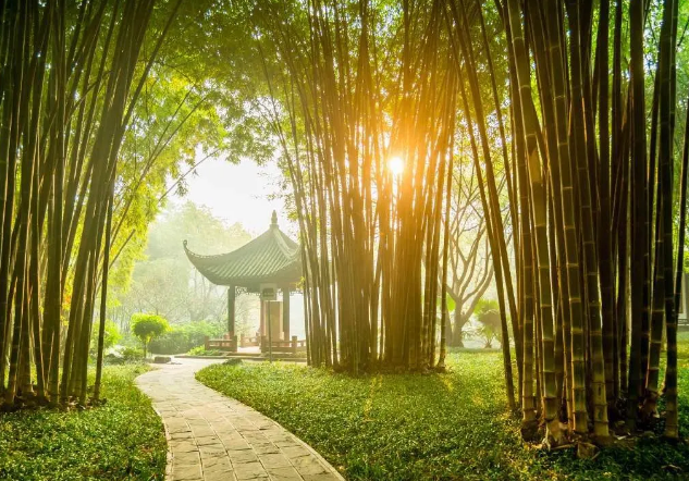 早起三不要，飯后三不急，睡前三不宜