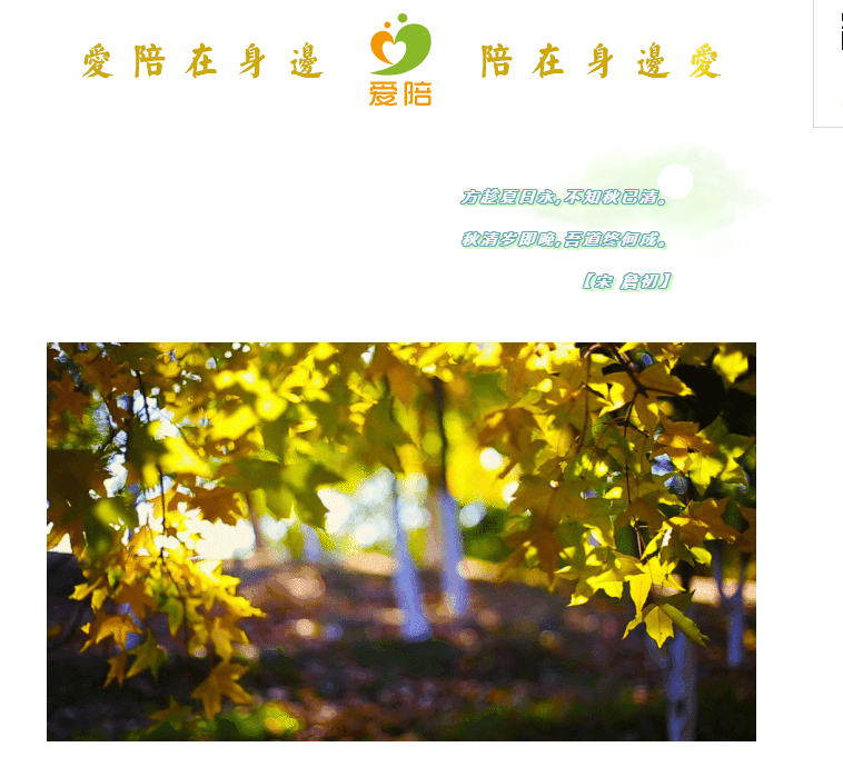 秋清歲即晚,吾道終何成?--共享陪護(hù)床為何而生